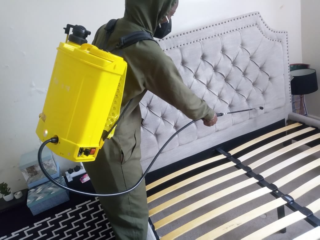 Bed Bug Fumigation Services