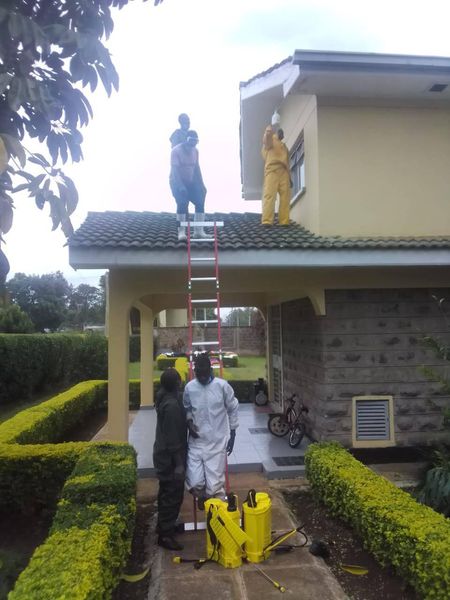 BATS FUMIGATION-GM