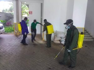 Best Fumigation and Pest Control Services