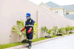 pest control services in upperhill