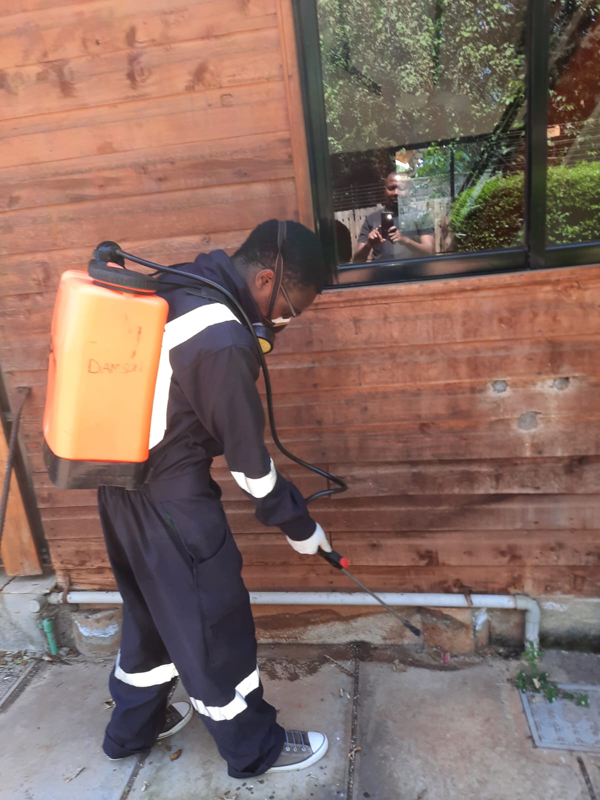 Pest control services in Kisumu