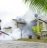 How Often Should You Fumigate Your Home in Kenya?