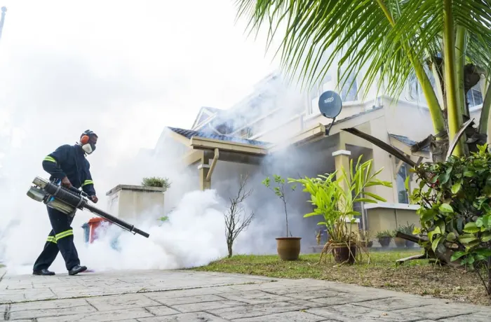 How Often Should You Fumigate Your Home in Kenya?