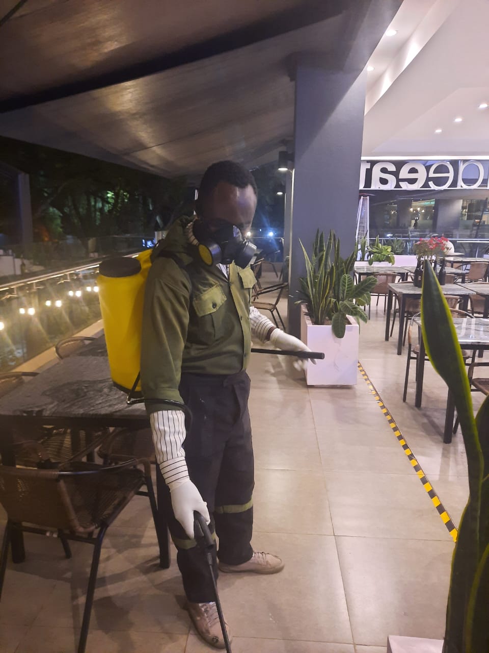 Pest Control Services in Mombasa