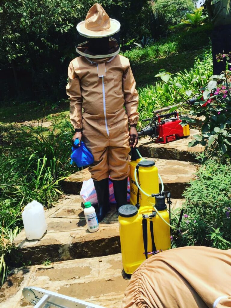 pest control services in Mombasa.