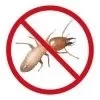 Termites Control Services