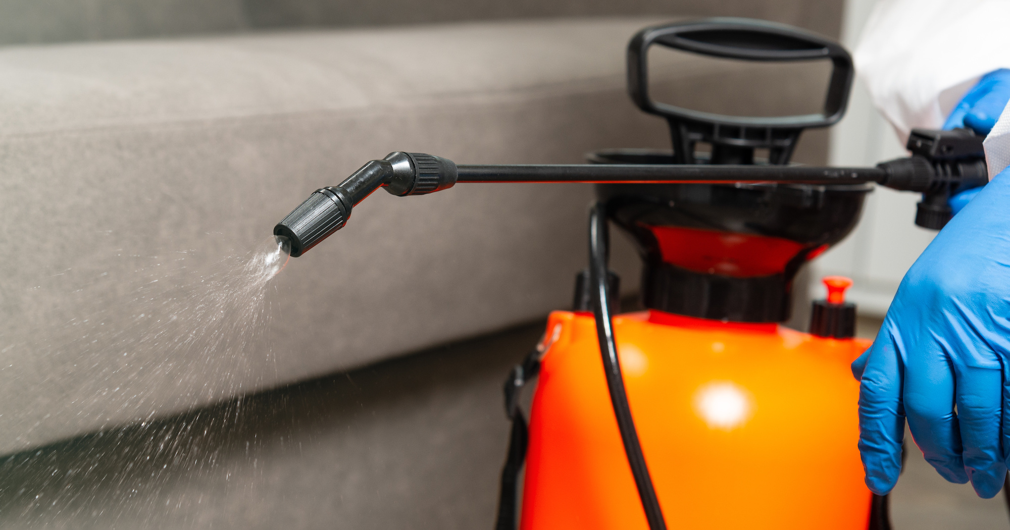 Benefits of Regular Pest Control for Homes & Businesses