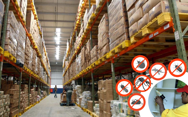 Pest Control for Warehouses & Storage Facilities