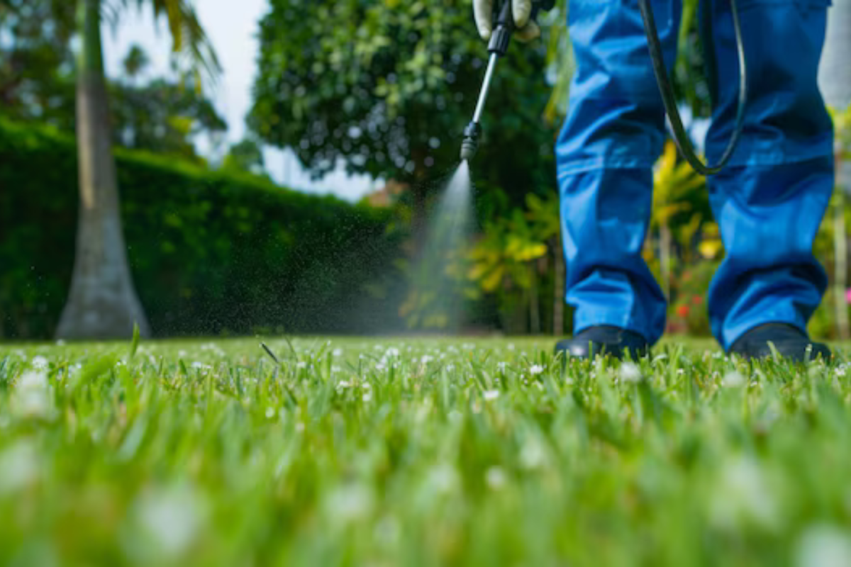 Top Mistakes People Make When DIY-ing Pest Control